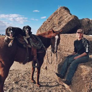 Meet your Posher, Alison